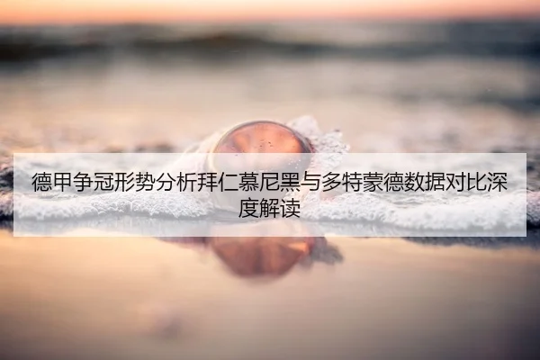de-jia-zheng-guan-xing-shi-fen-xi-bai-ren-mu-ni-hei-yu-duo-te-meng-de-shu-ju-dui-bi-shen-du-jie-du-2-202.jpg